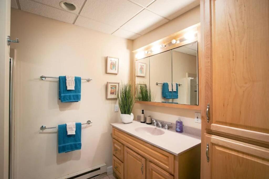 Spacious 3Br 3Ba Sleeps 8 Ski On Off Jiminy Mountain Resort Hancock Luaran gambar