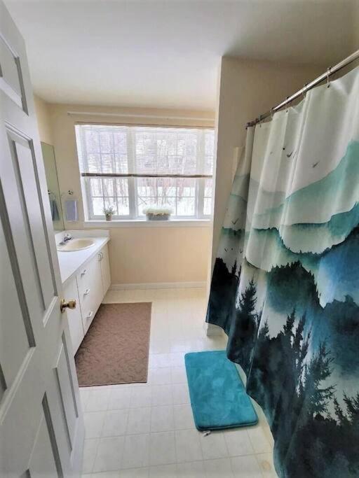 Spacious 3Br 3Ba Sleeps 8 Ski On Off Jiminy Mountain Resort Hancock Luaran gambar